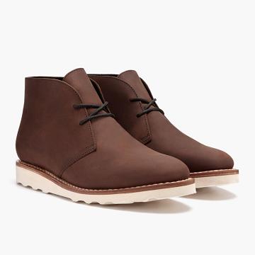 Buty Chukka Męskie Thursday Boots Scout Skórzane Brązowe | PL53PLL