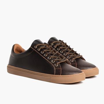 Trampki Męskie Thursday Boots Premier Low Tops Skórzane Bordowe | PL220QMA