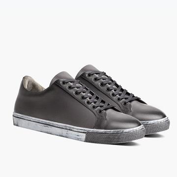 Trampki Męskie Thursday Boots Premier Low Tops Skórzane Szare | PL221MQZ