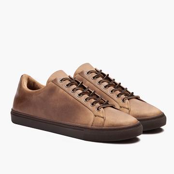 Trampki Męskie Thursday Boots Premier Low Tops Skórzane Brązowe | PL225CTV