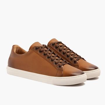 Trampki Męskie Thursday Boots Premier Low Tops Skórzane Rugged & Resilient Złote | PL227ZUT